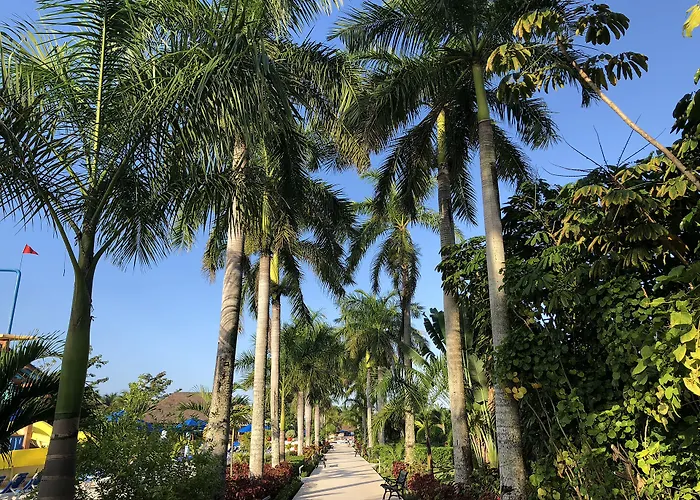 Resort Allegro